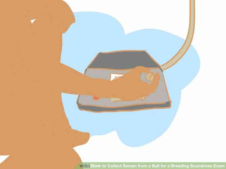 Image intitulée Recueillir le Sperme d